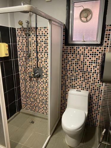 a bathroom with a toilet and a shower at GN Homestay Miri in Miri