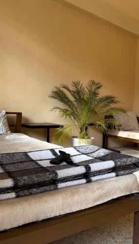 Mi Ranchito Casa de Huéspedes – Photos 2