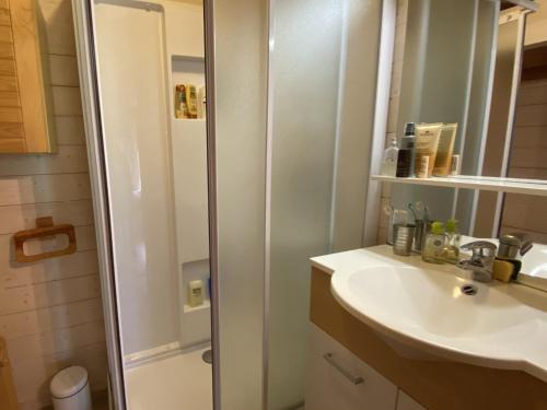 une salle de bain avec douche et lavabo dans l'établissement Appartement 4 pièces, 8 pers, terrasse plein sud, parking, salle de jeux - FR-1-437-109, à La Clusaz