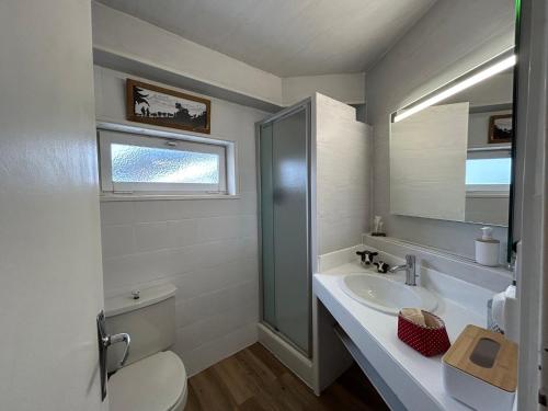 une salle de bain avec un lavabo, des toilettes et un miroir dans l'établissement Appartement 3 pièces, 6 pers, bord de piste avec WIFI - FR-1-437-110, à La Clusaz