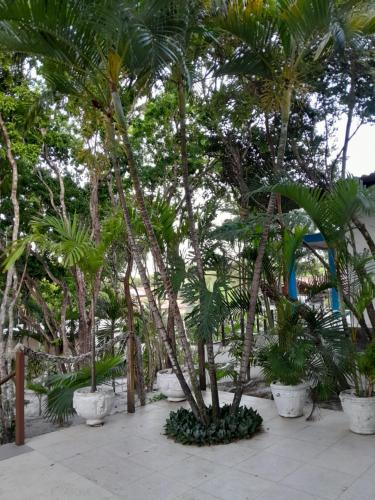 Caçadores de Aventuras Flats – Photos 2