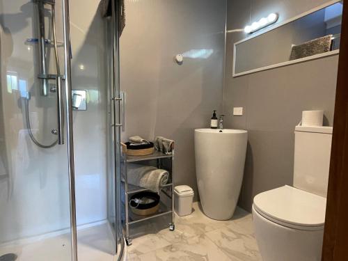 een badkamer met een douche en een toilet bij Kowhai Studio in Paeroa