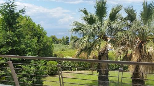 a view of palm trees from a fence at Villa Anna Maria in Kriopigi