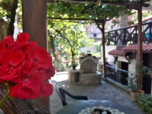 Κήπος έξω από το Keremidchieva Kushta Guest House