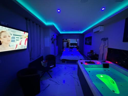 TV a/nebo společenská místnost v ubytování Jacuzzi & sauna Herrlisheim