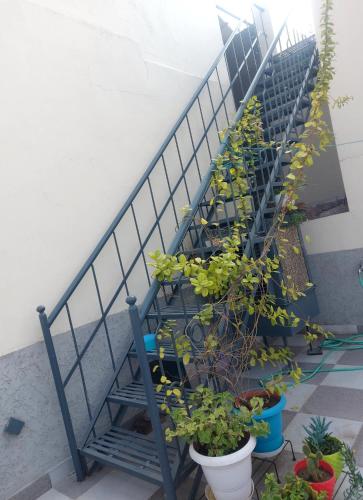 a set of stairs with potted plants on them at Aradhyas Stay in Jaipur