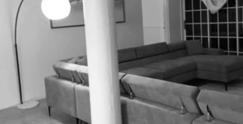 ein Wohnzimmer mit einem Sofa und einem Tisch in der Unterkunft Eagles Nest Villa House AC TV WIFI Fan Luxury Modern in Albion