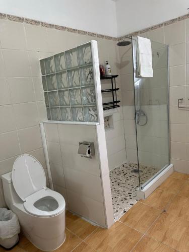 a bathroom with a shower stall and a toilet at Eagles Nest Villa House AC TV WIFI Fan Luxury Modern in Albion