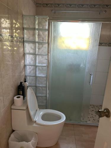 a bathroom with a toilet and a shower at Eagles Nest Villa House AC TV WIFI Fan Luxury Modern in Albion