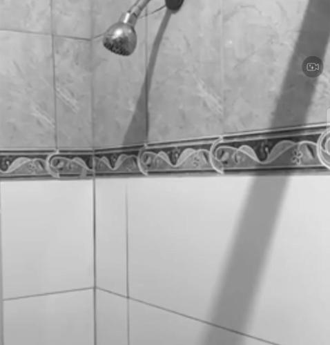 a shower with a shower head in a bathroom at Eagles Nest Villa House AC TV WIFI Fan Luxury Modern in Albion