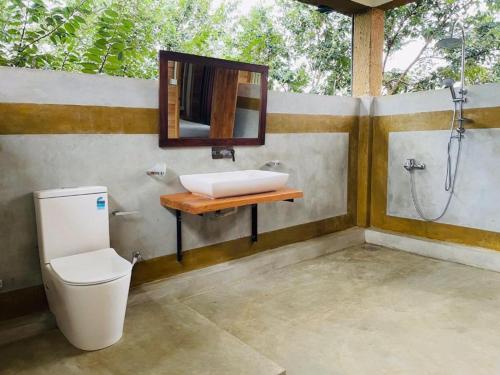 a bathroom with a sink and a toilet and a mirror at Prana Ayurveda Chalet- Sigiriya in Sigiriya