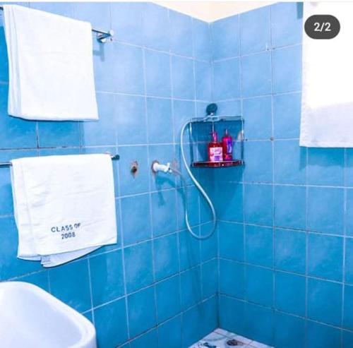 a blue tiled bathroom with a shower and a toilet at LOFTY DIANI STUDIO'S in Kwale