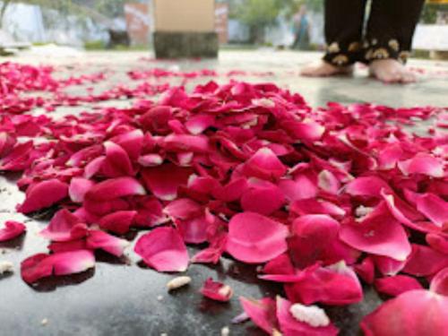 uma pilha de pétalas de flor rosa no chão em Kalpana guest house , Bareilly em Bareilly