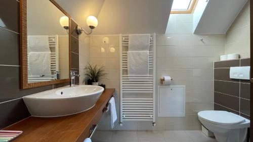ein Bad mit einem Waschbecken und einem WC in der Unterkunft Alfinio Villa in Sinaia