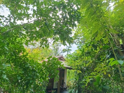 a house obscured by trees in front at Bright Sun Safari in Udawalawe