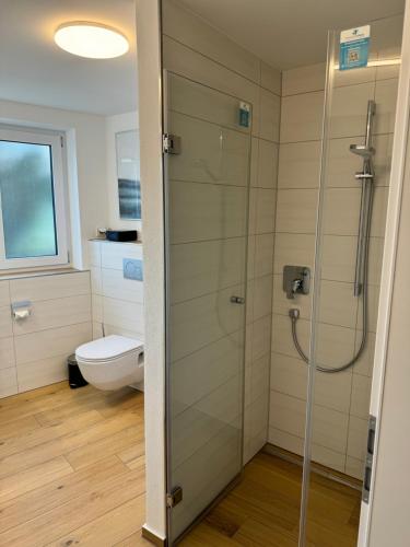 La salle de bains est pourvue d'une douche et de toilettes. dans l'établissement Alpinsuite - modern - elegant, à Waltenhofen