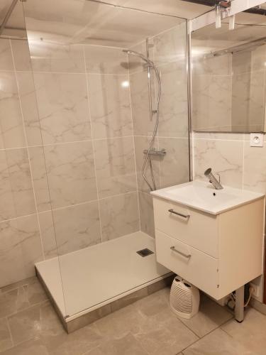 a bathroom with a shower and a sink at La Villa du MOULIN DE MADAME in Bias