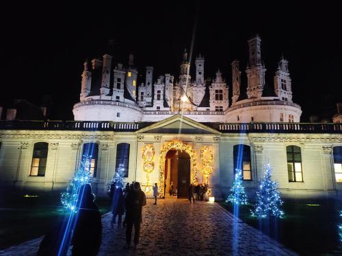 a large white building with christmas trees and lights at Gîte Le Clos Controis in Contres