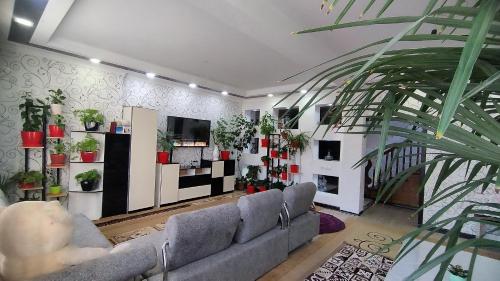 ein Wohnzimmer mit Sofas und Topfpflanzen in der Unterkunft Гостевой дом Datka in Karakol