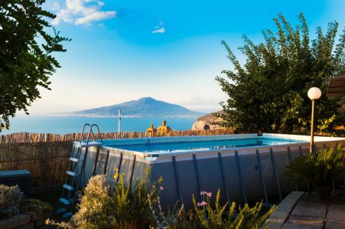 索倫托的住宿－Luxury Villa with breathtaking Seaview, pool, BBQ，花园内的游泳池,享有山景