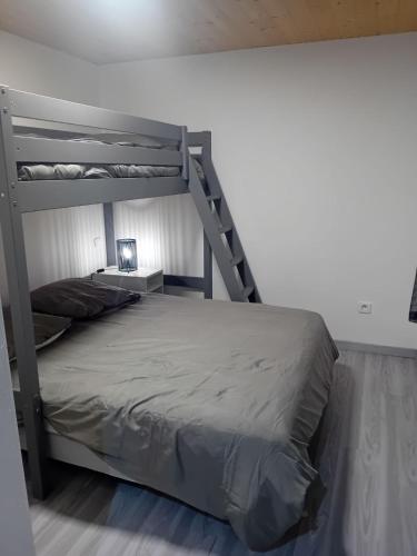 une chambre avec un lit superposé avec une échelle dans l'établissement Paquito, mini maison 1 chambre avec terrasse et parking, à Ax-les-Thermes