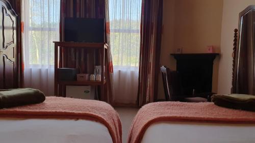 a bedroom with two beds and a television in it at Angler and Antelope Guesthouse in Somerset East
