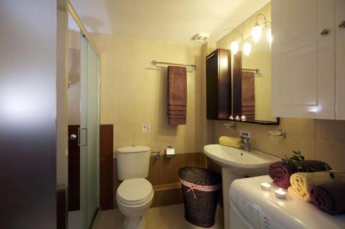 łazienka z toaletą i umywalką w obiekcie Alexandros House w mieście Monolitos