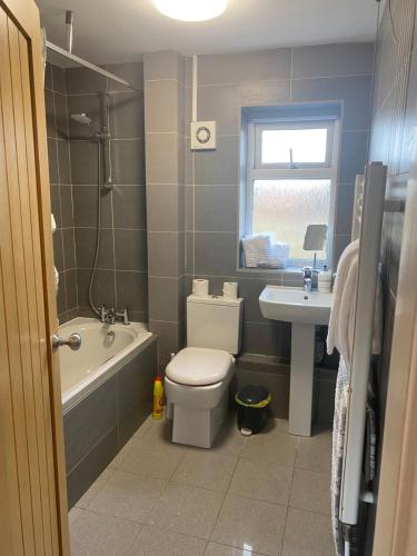 a bathroom with a toilet and a sink at Lambley view 