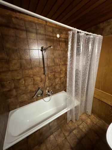 a bathroom with a bath tub and a shower at Hotel LukasMayr in Bruck an der Großglocknerstraße