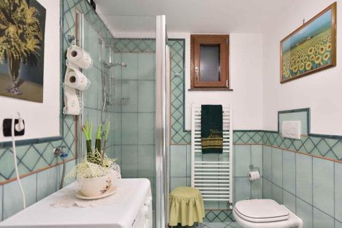 a bathroom with a shower and a toilet at Villa Anna in Minori
