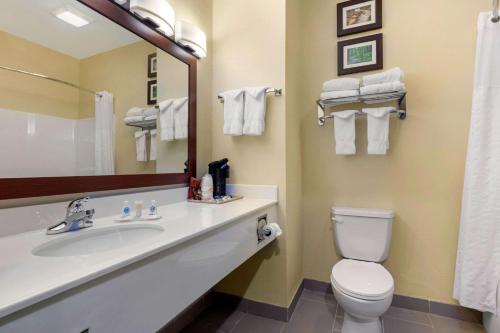 een badkamer met een wastafel, een toilet en een spiegel bij Comfort Inn US 60-63 in Willow Springs