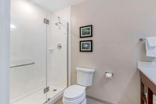 Comfort Inn & Suites Brunswick I-95にあるバスルーム