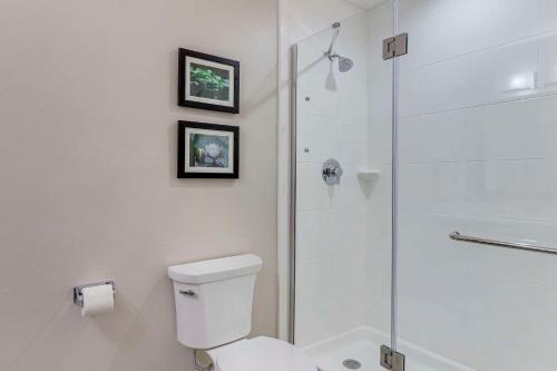 Comfort Inn & Suites Brunswick I-95にあるバスルーム