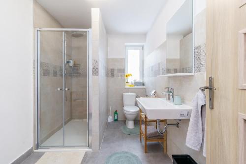 een badkamer met een douche en een wastafel bij APARTMÁN Abertamská Chata in Abertamy
