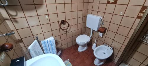 a small bathroom with a toilet and a sink at Casa Bizzo in Folgarida