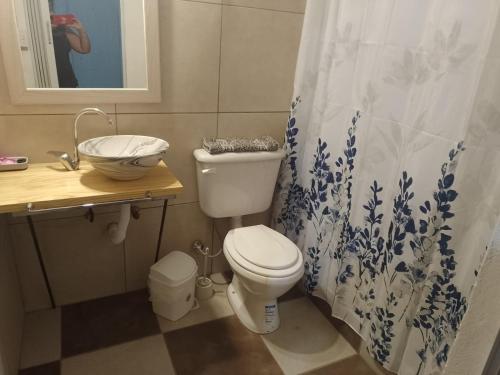 a bathroom with a toilet and a sink and a shower curtain at Descanso Cordillerano in San Rafael