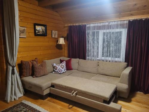 salon z kanapą i oknem w obiekcie Family Mountain Cottage w mieście Cîrţişoara