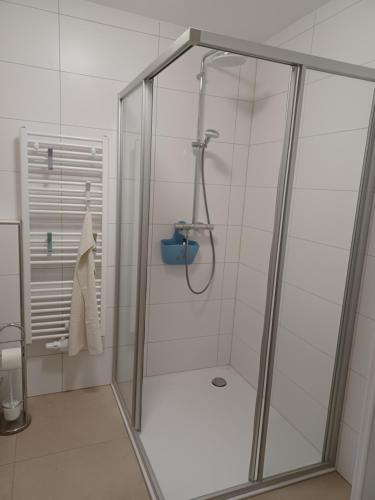 Vonios kambarys apgyvendinimo įstaigoje Gmunden zentrale Lage