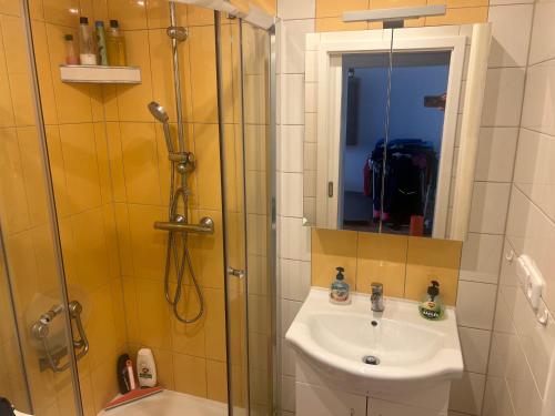 uma casa de banho com um chuveiro e um lavatório. em Rekreační byt 3+1 em Železná Ruda