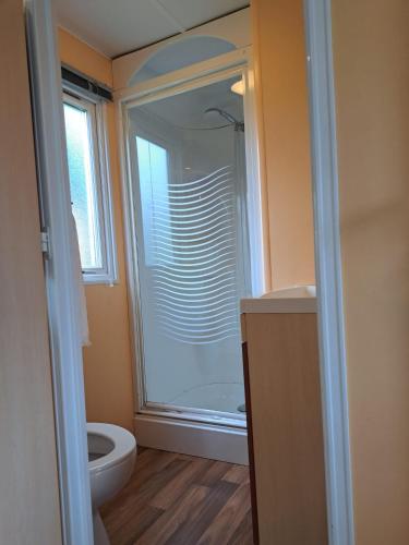 a bathroom with a shower and a toilet at Tiny house in Wittelte