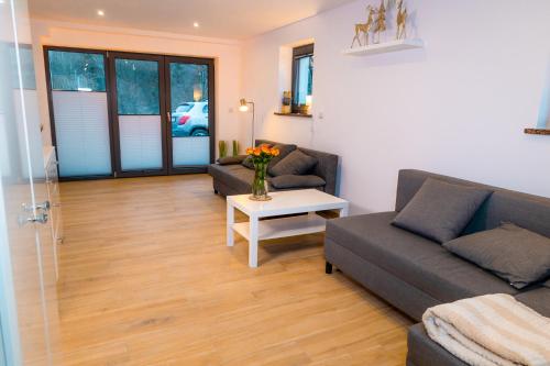 a living room with a couch and a table at Dusznickie Apartamenty Julia in Duszniki Zdrój