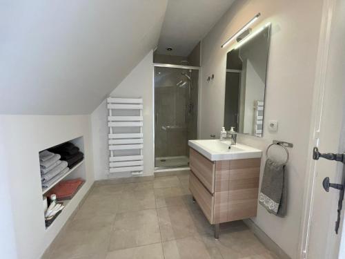 La salle de bains est pourvue d'un lavabo et d'une douche. dans l'établissement Maison Mariela, à Luzech