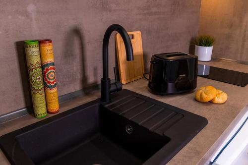 a kitchen sink with a faucet next to a toaster at Dusznickie Apartamenty Julia in Duszniki Zdrój