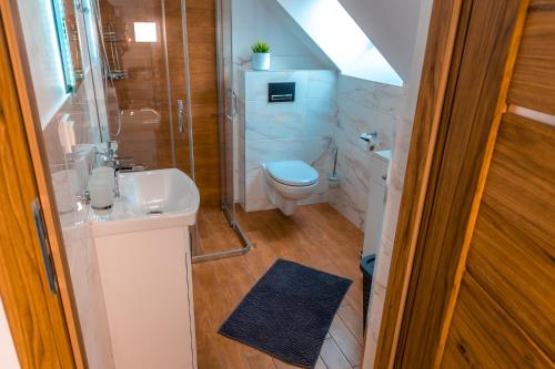 a bathroom with a toilet and a shower and a sink at Dusznickie Apartamenty Julia in Duszniki Zdrój