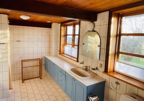 a bathroom with a sink and a mirror at Wildernest Bornholm in Neksø