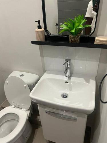 a bathroom with a white toilet and a sink at Premium Cozy Apartment (0% loadshedding) in Sandton
