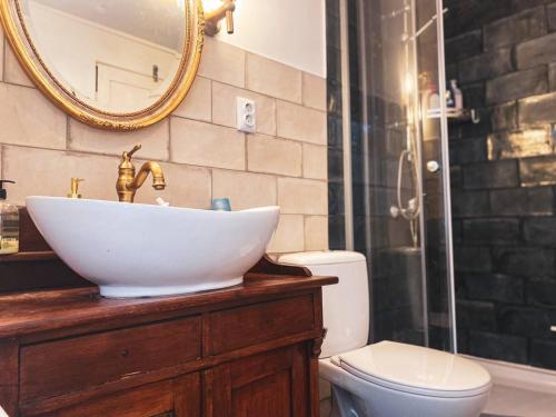 W łazience znajduje się umywalka, toaleta i lustro. w obiekcie Haus Anastasia w mieście Stolberg–Harz
