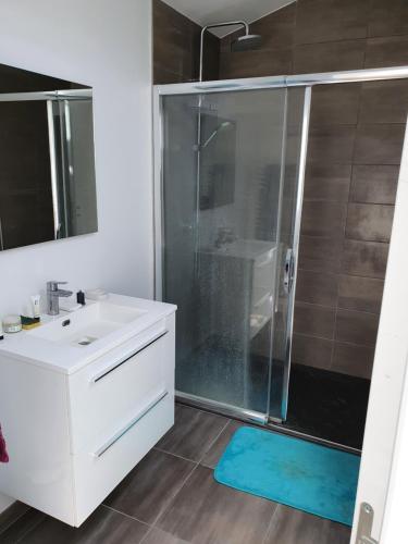 a bathroom with a shower and a sink and a mirror at Chambre privée chez l'habitant en colocation dans agréable maison avec jardin - A private room in a shared house with garden in Bordeaux
