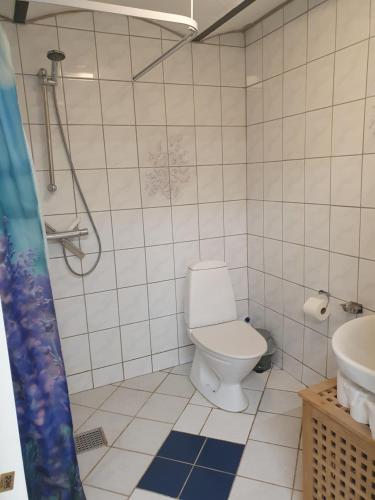 ein Bad mit einem WC und einem Waschbecken in der Unterkunft Bøelgaarden in Gørding