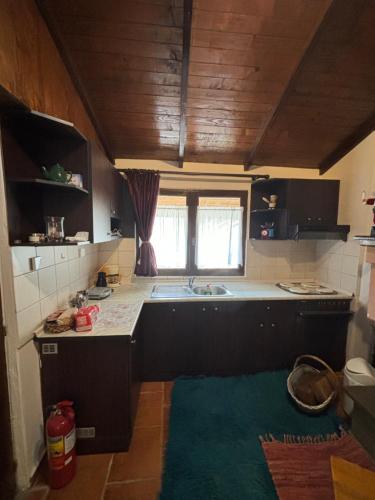 eine Küche mit einer Spüle und einer Arbeitsplatte in der Unterkunft Πέτρινο Όραμα in Kotrónion